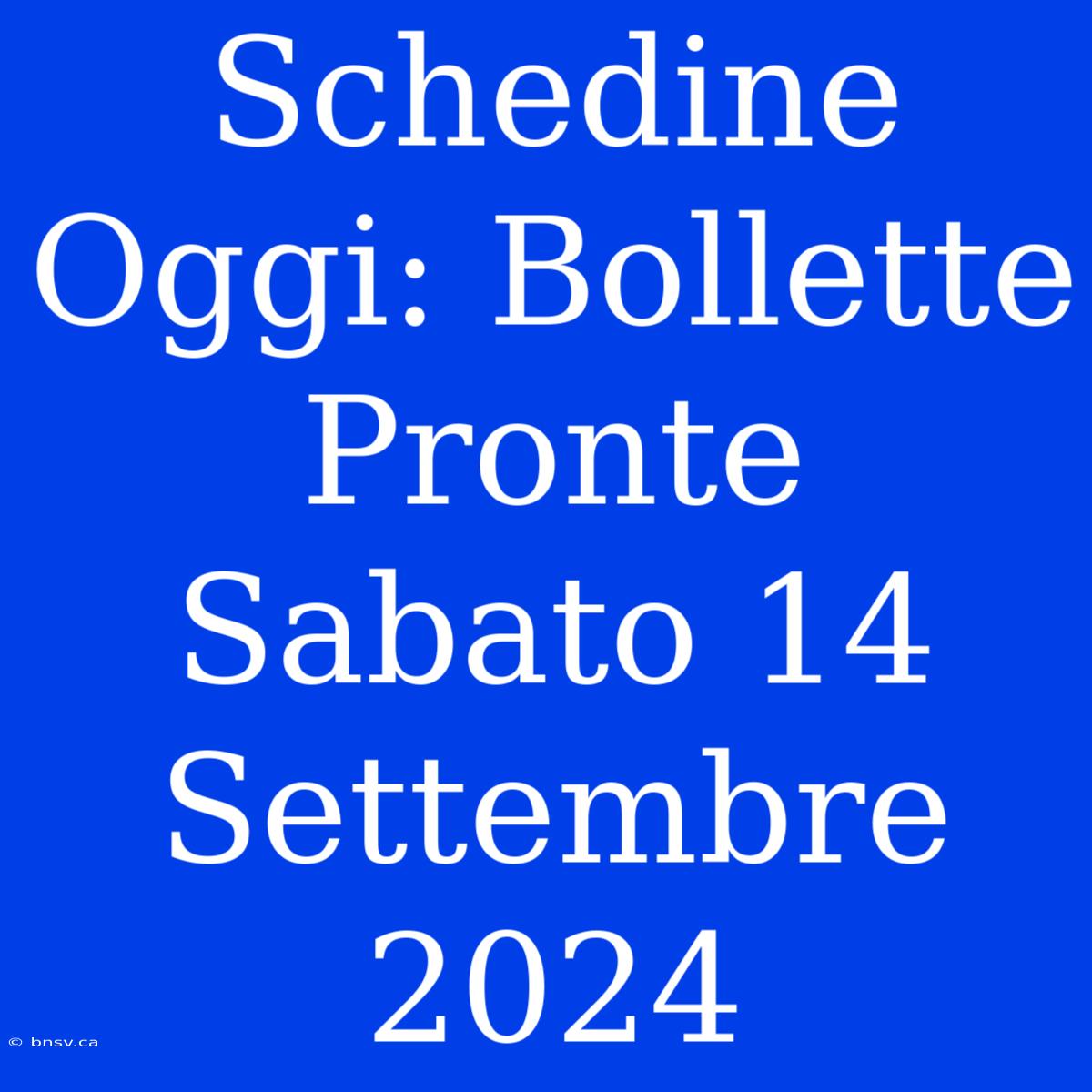 Schedine Oggi: Bollette Pronte Sabato 14 Settembre 2024