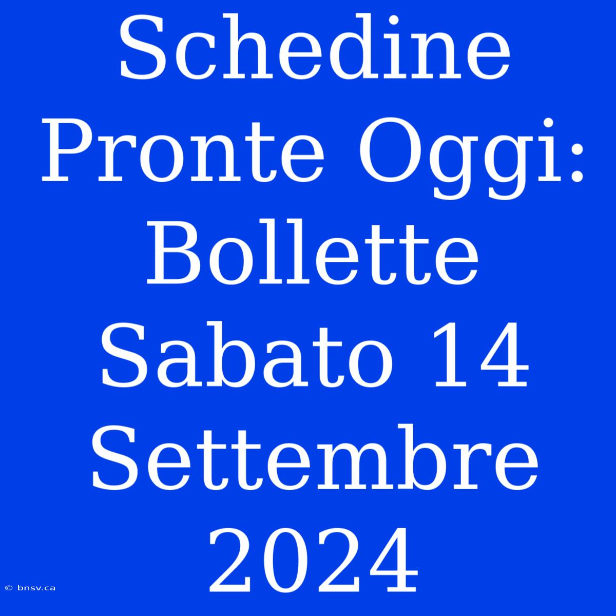 Schedine Pronte Oggi: Bollette Sabato 14 Settembre 2024