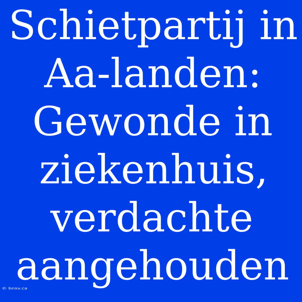 Schietpartij In Aa-landen: Gewonde In Ziekenhuis, Verdachte Aangehouden