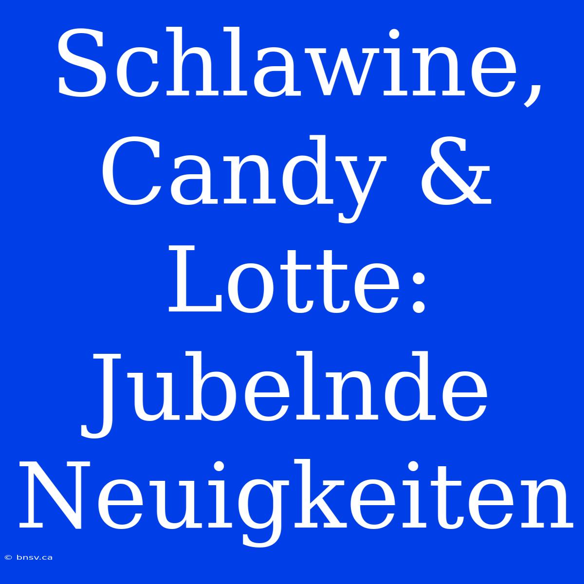 Schlawine, Candy & Lotte: Jubelnde Neuigkeiten