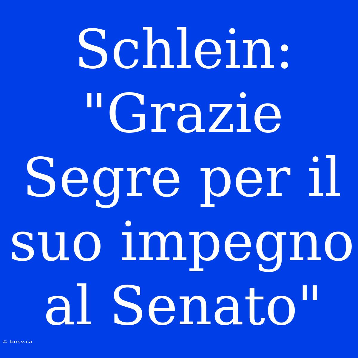 Schlein: 