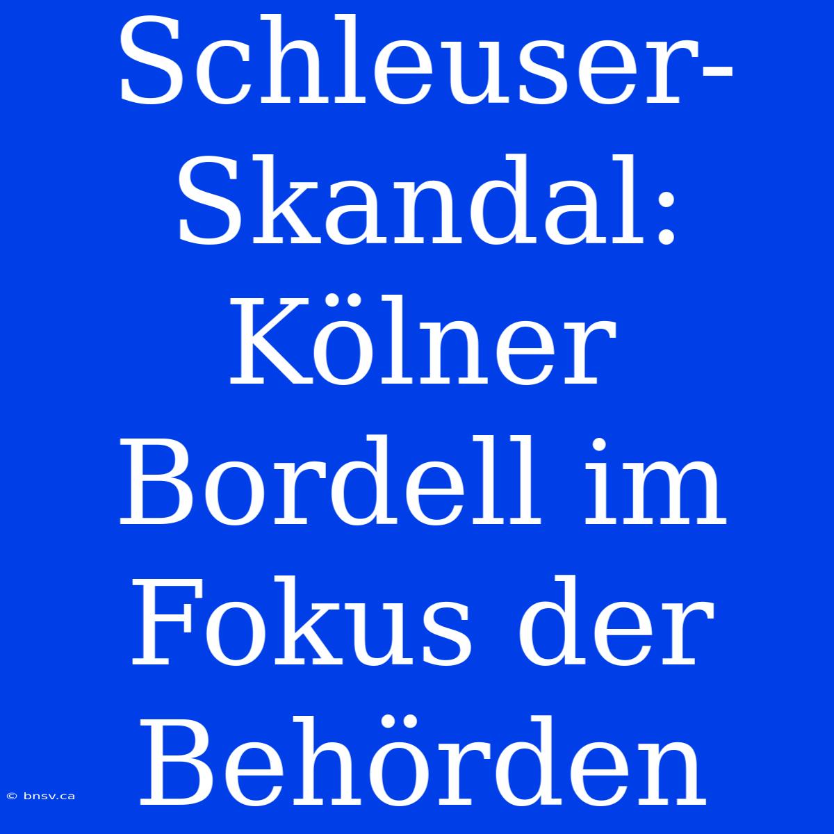 Schleuser-Skandal: Kölner Bordell Im Fokus Der Behörden