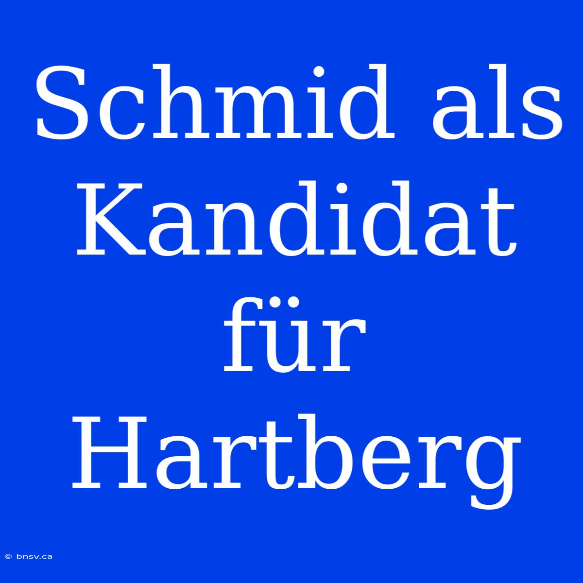 Schmid Als Kandidat Für Hartberg