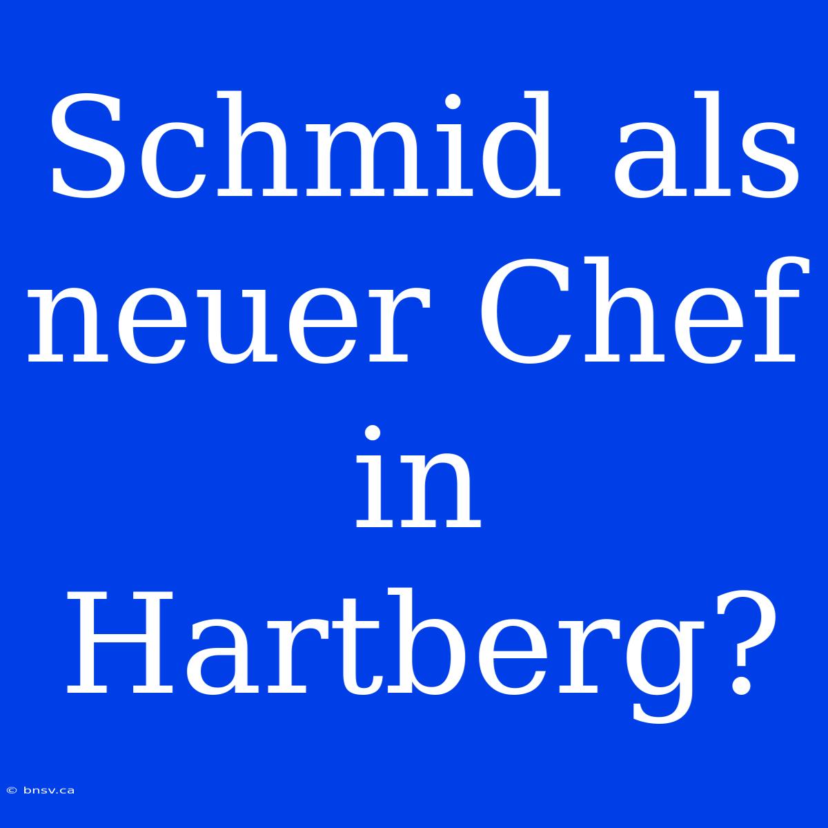 Schmid Als Neuer Chef In Hartberg?