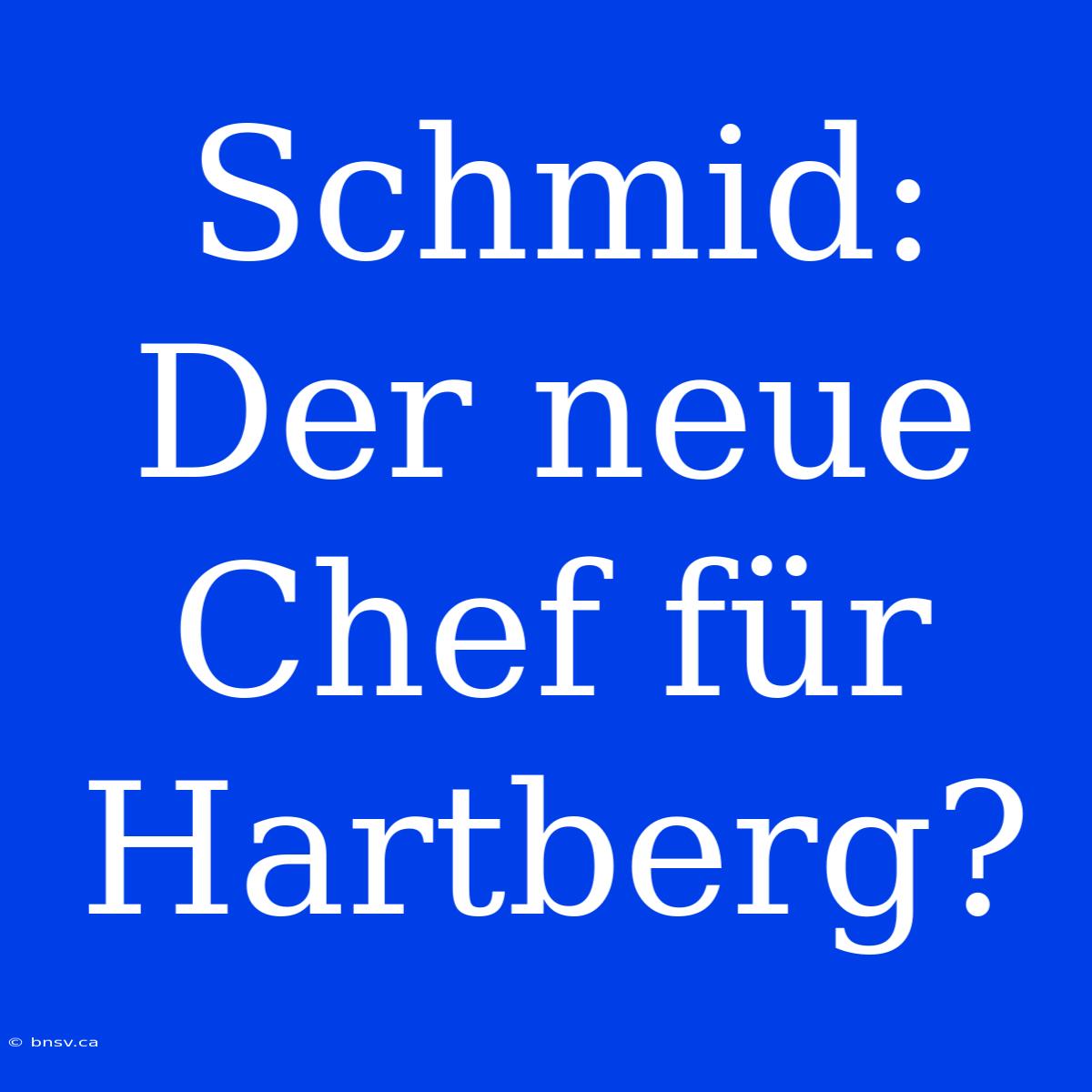 Schmid: Der Neue Chef Für Hartberg?