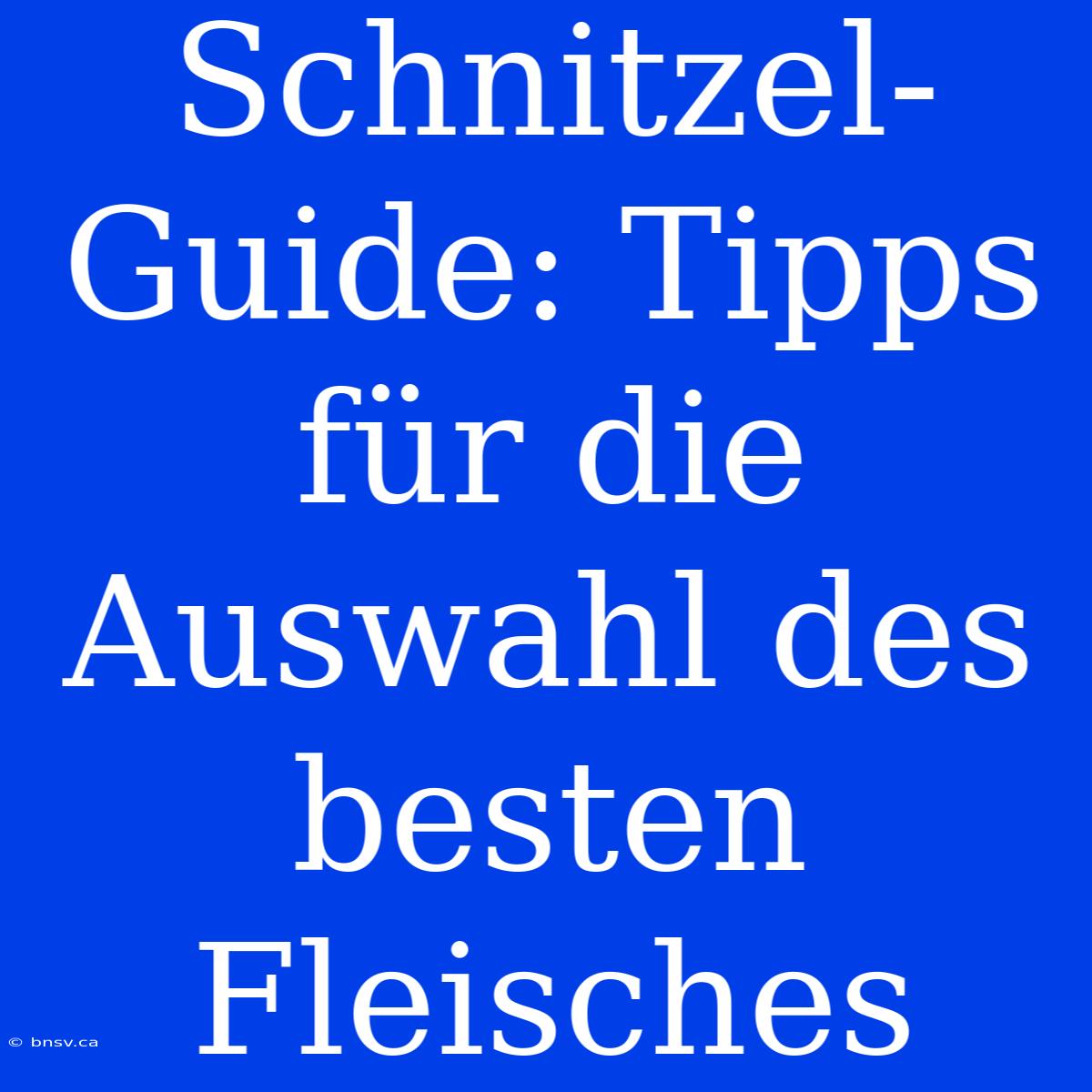 Schnitzel-Guide: Tipps Für Die Auswahl Des Besten Fleisches