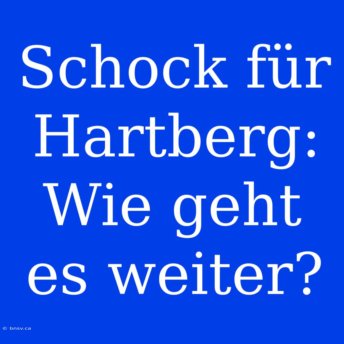 Schock Für Hartberg: Wie Geht Es Weiter?