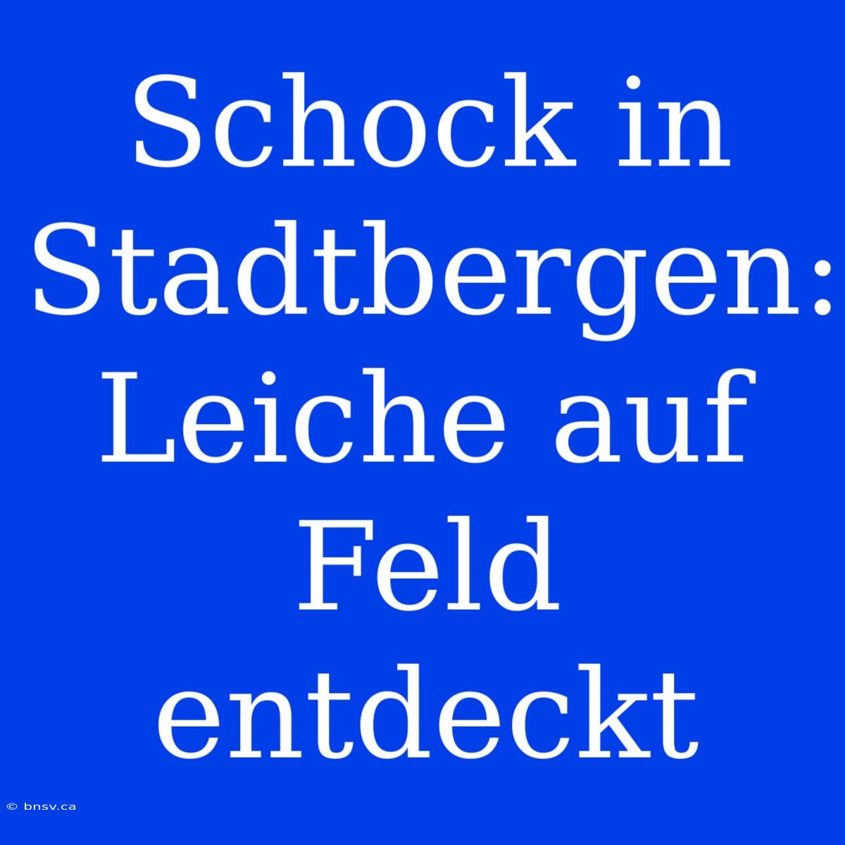 Schock In Stadtbergen: Leiche Auf Feld Entdeckt