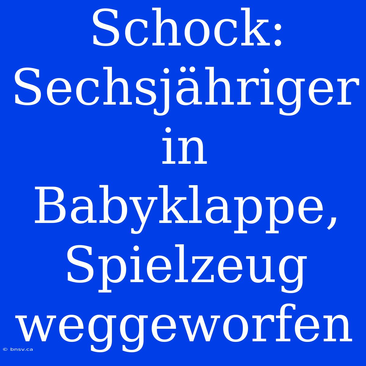 Schock: Sechsjähriger In Babyklappe, Spielzeug Weggeworfen