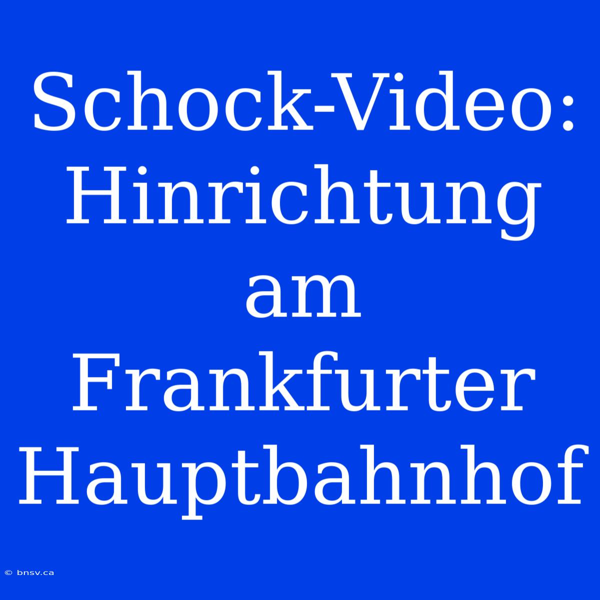 Schock-Video: Hinrichtung Am Frankfurter Hauptbahnhof