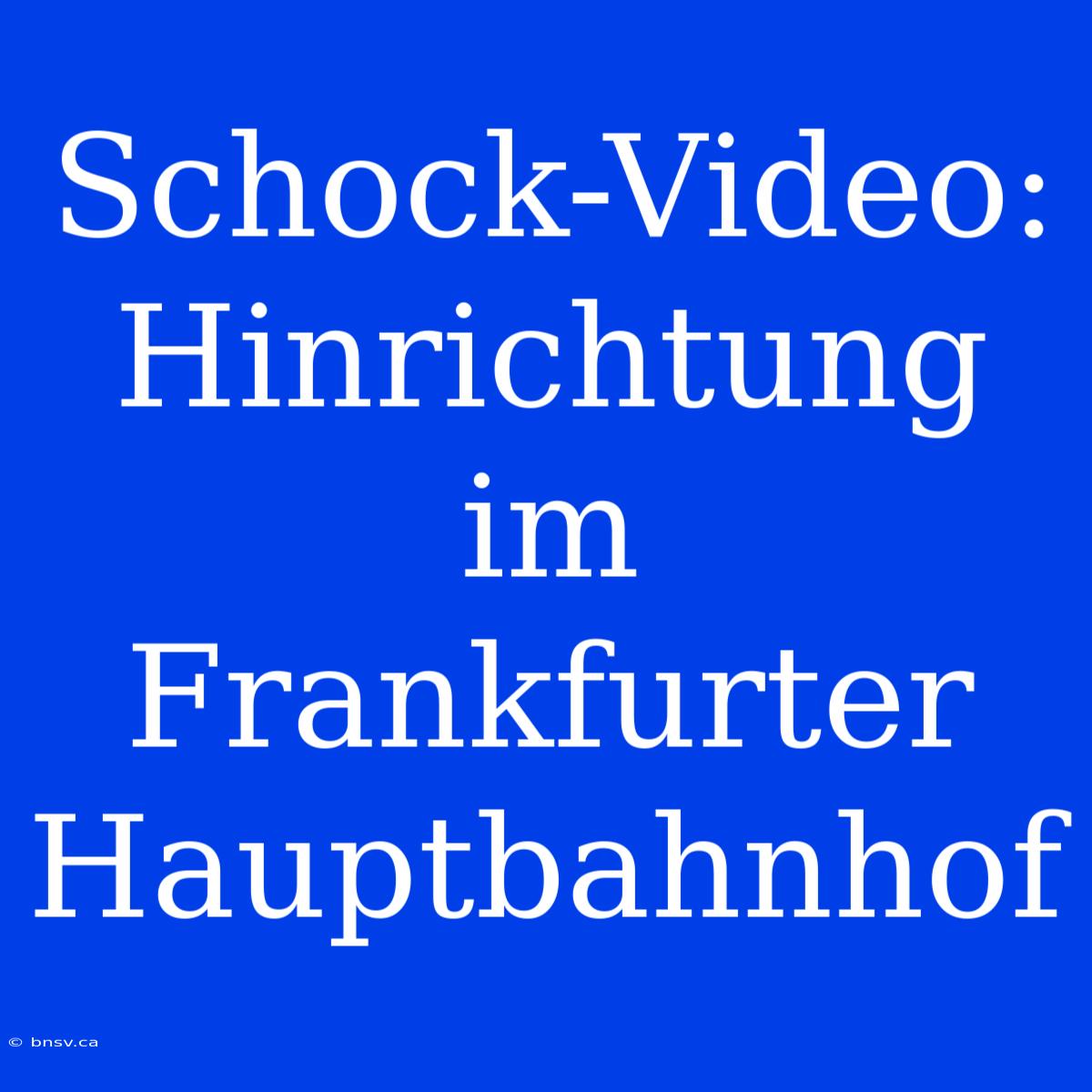 Schock-Video: Hinrichtung Im Frankfurter Hauptbahnhof