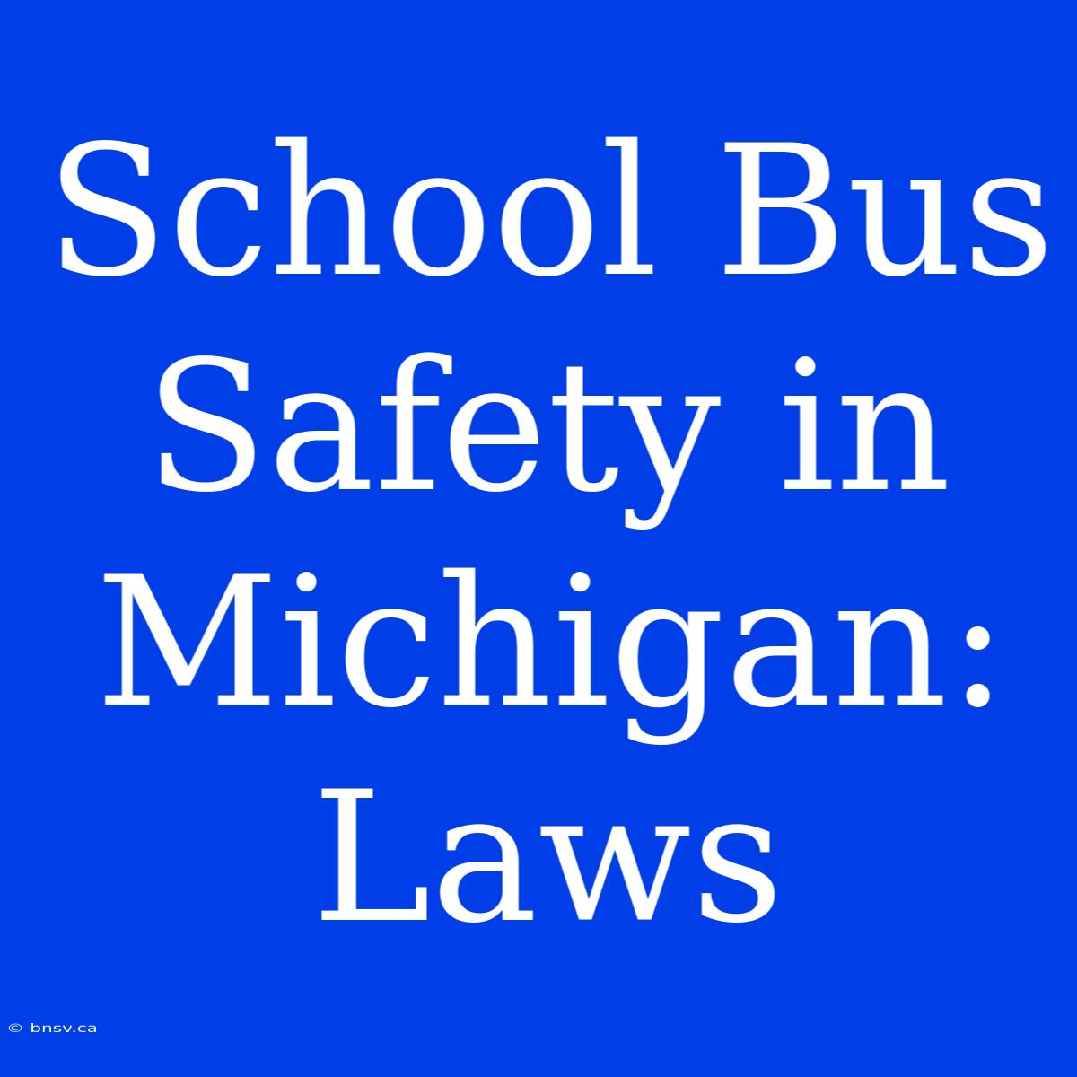 School Bus Safety In Michigan: Laws