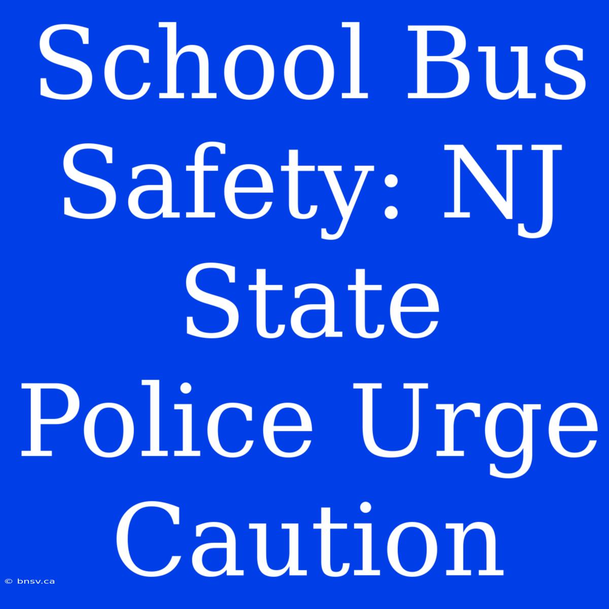 School Bus Safety: NJ State Police Urge Caution