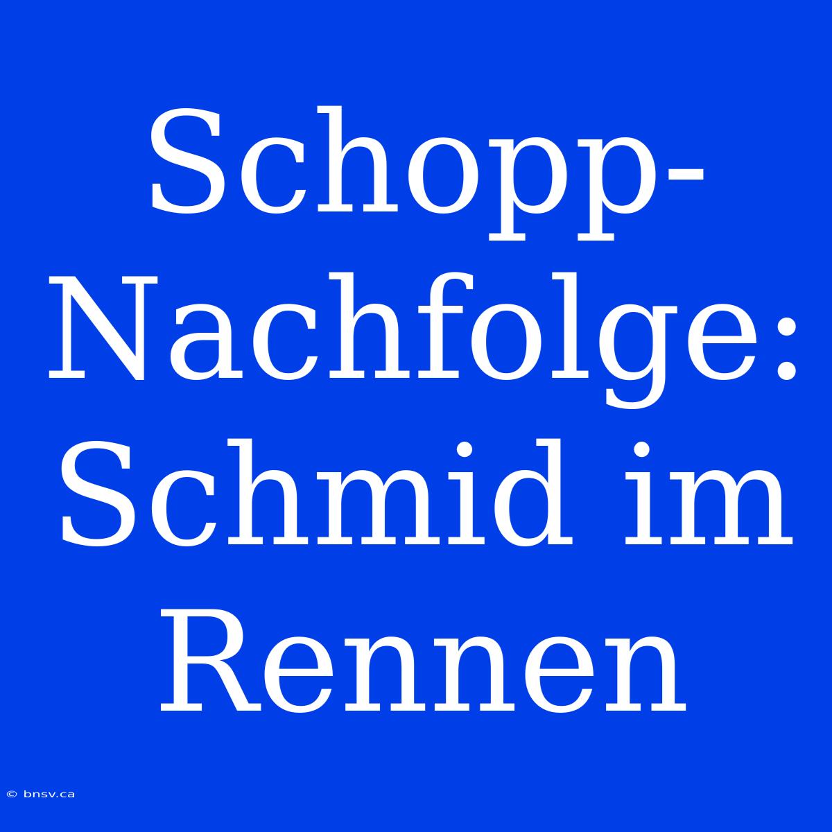 Schopp-Nachfolge: Schmid Im Rennen