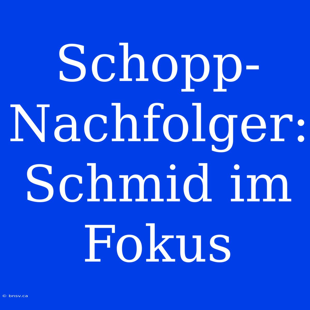 Schopp-Nachfolger: Schmid Im Fokus