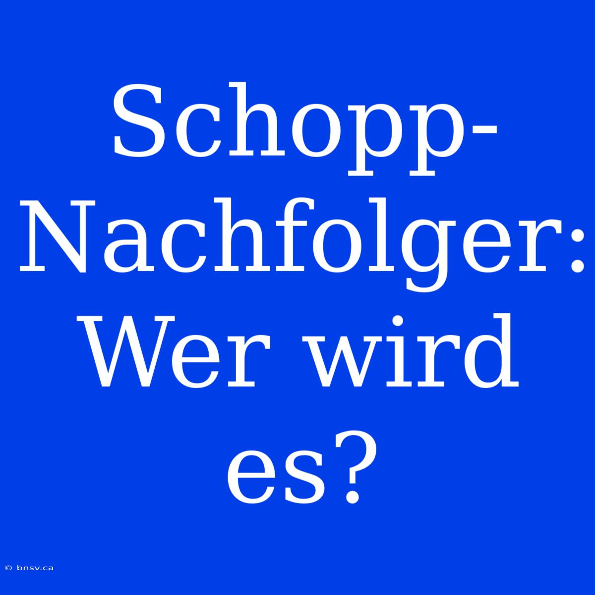 Schopp-Nachfolger: Wer Wird Es?