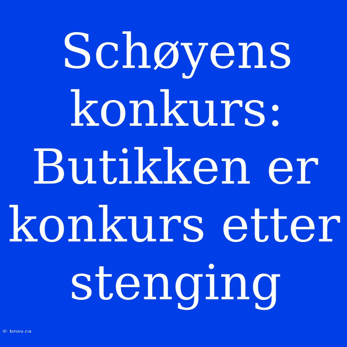 Schøyens Konkurs: Butikken Er Konkurs Etter Stenging