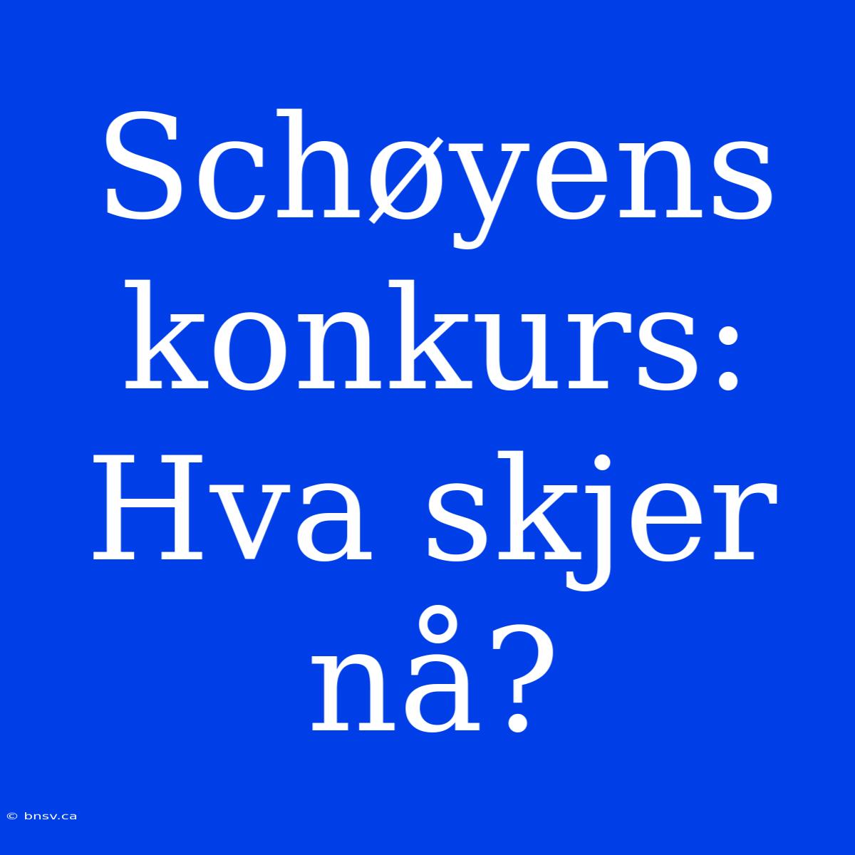 Schøyens Konkurs: Hva Skjer Nå?