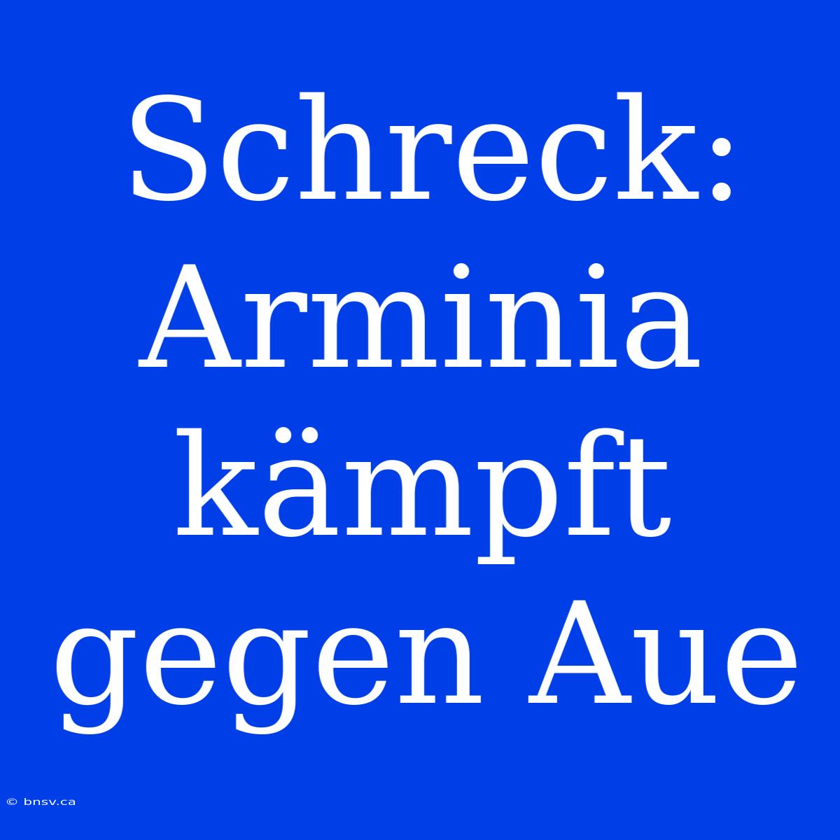 Schreck: Arminia Kämpft Gegen Aue