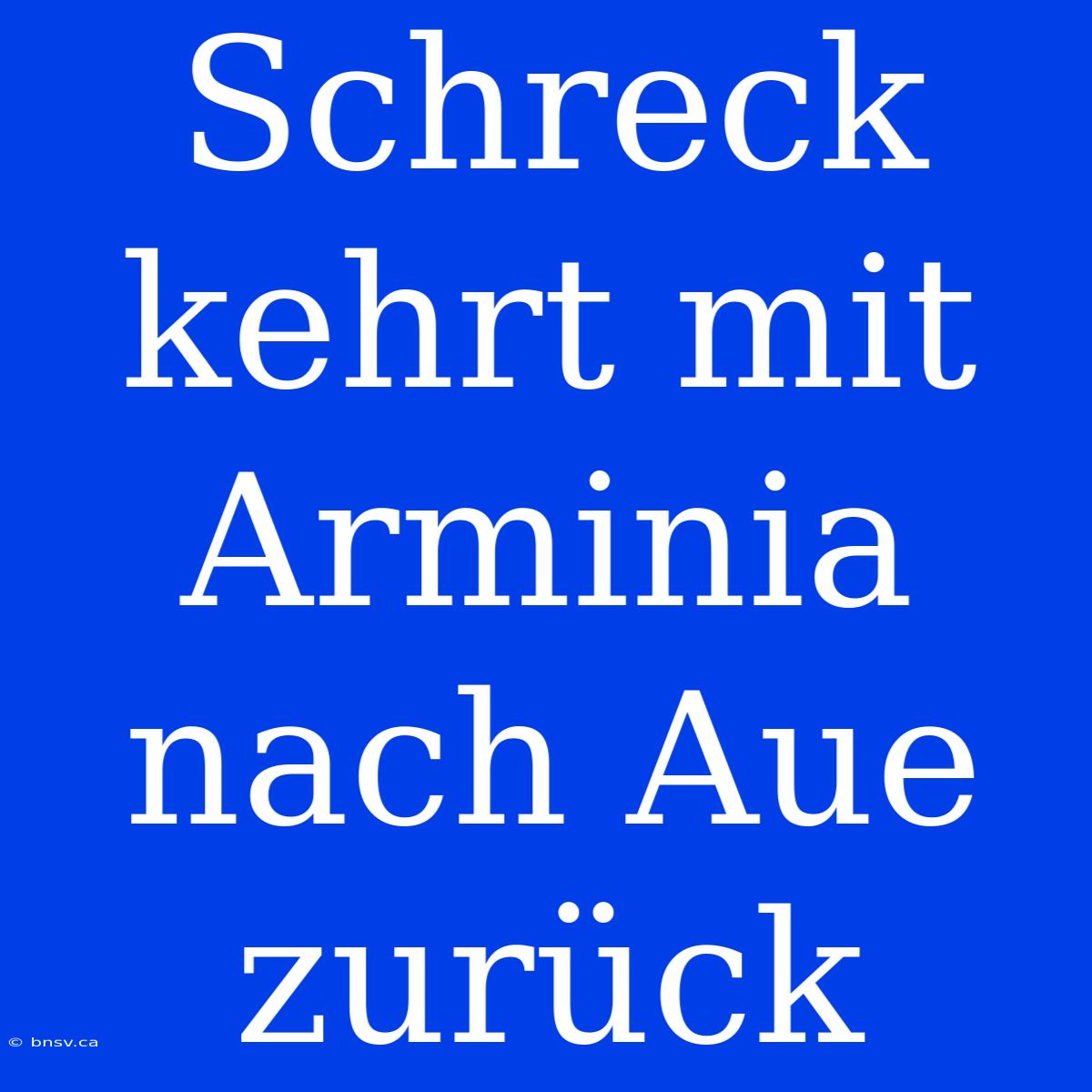 Schreck Kehrt Mit Arminia Nach Aue Zurück