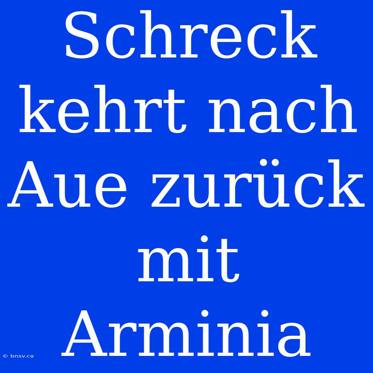 Schreck Kehrt Nach Aue Zurück Mit Arminia