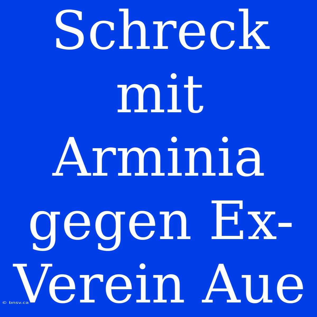 Schreck Mit Arminia Gegen Ex-Verein Aue