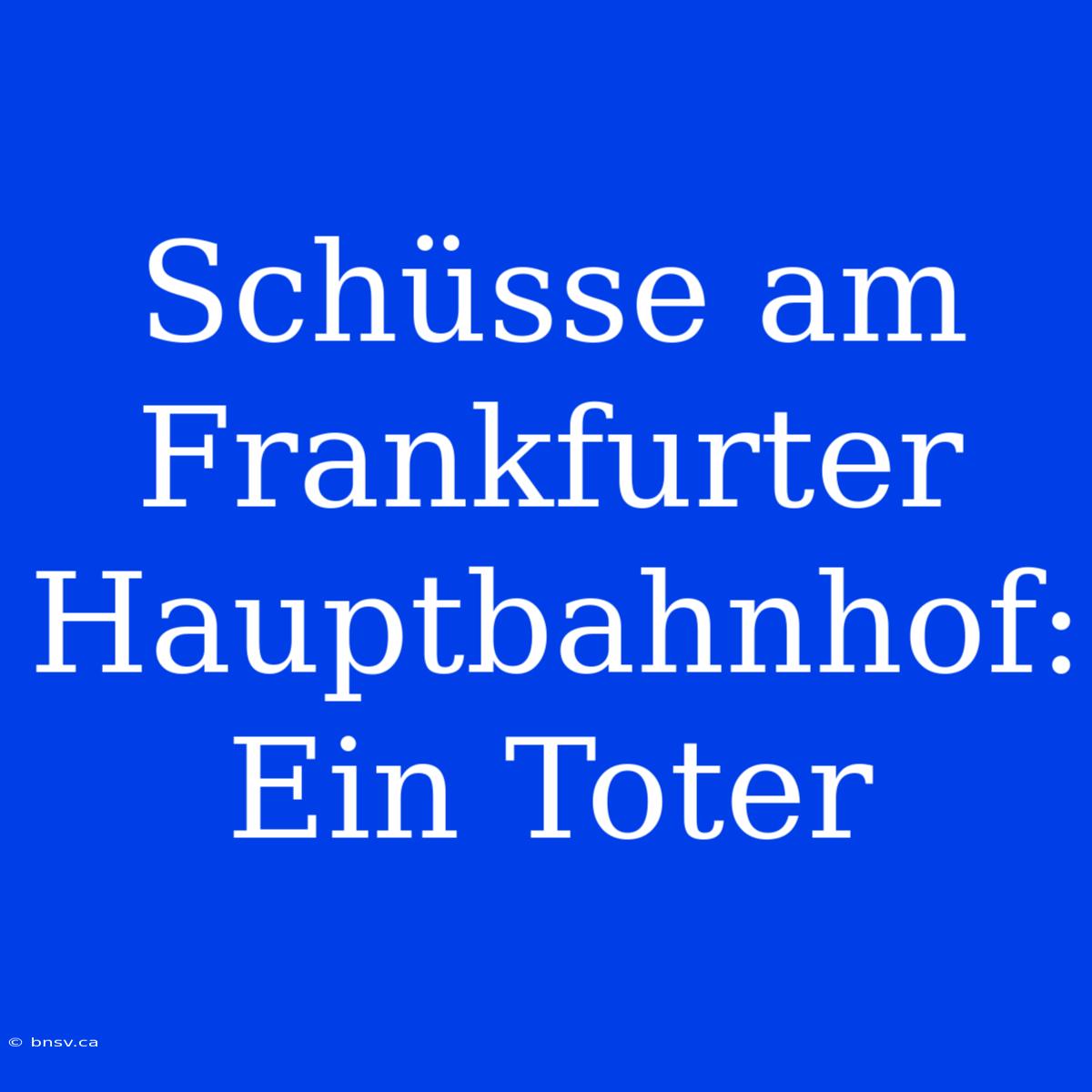 Schüsse Am Frankfurter Hauptbahnhof: Ein Toter