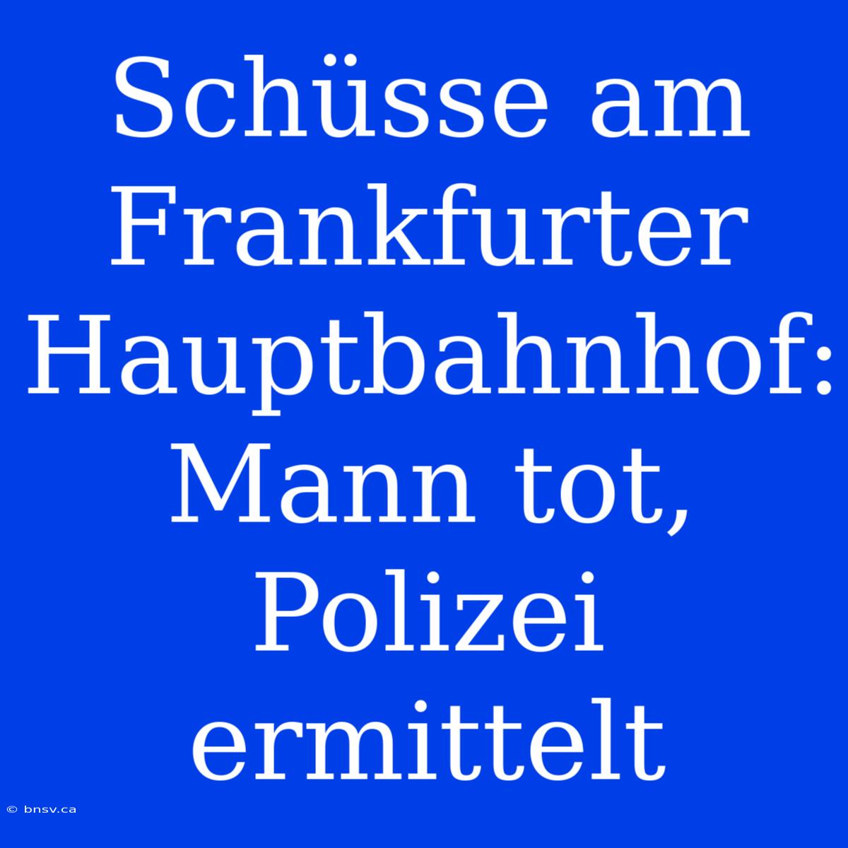 Schüsse Am Frankfurter Hauptbahnhof: Mann Tot, Polizei Ermittelt