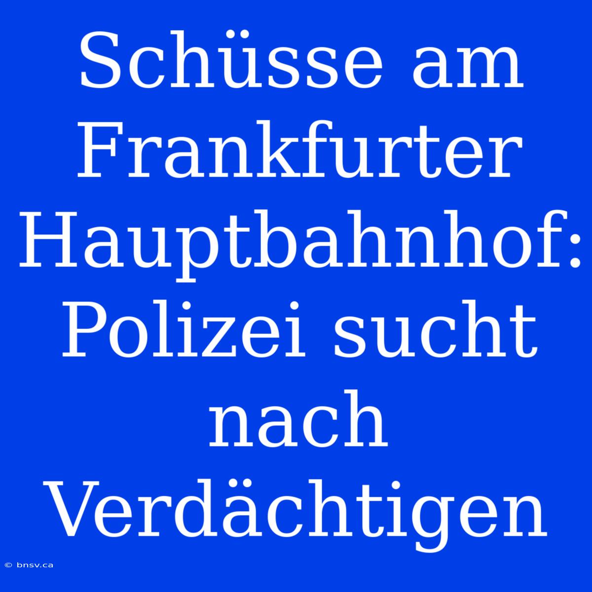 Schüsse Am Frankfurter Hauptbahnhof:  Polizei Sucht Nach Verdächtigen