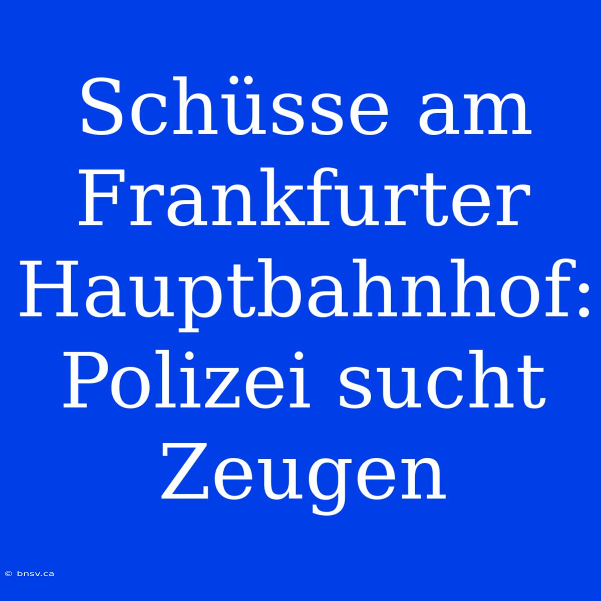 Schüsse Am Frankfurter Hauptbahnhof: Polizei Sucht Zeugen