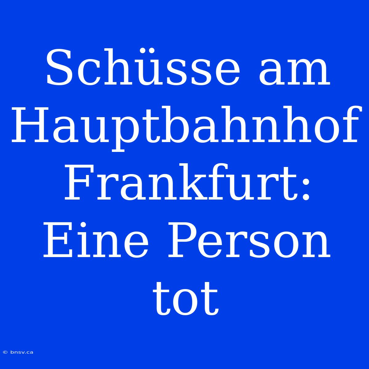 Schüsse Am Hauptbahnhof Frankfurt: Eine Person Tot