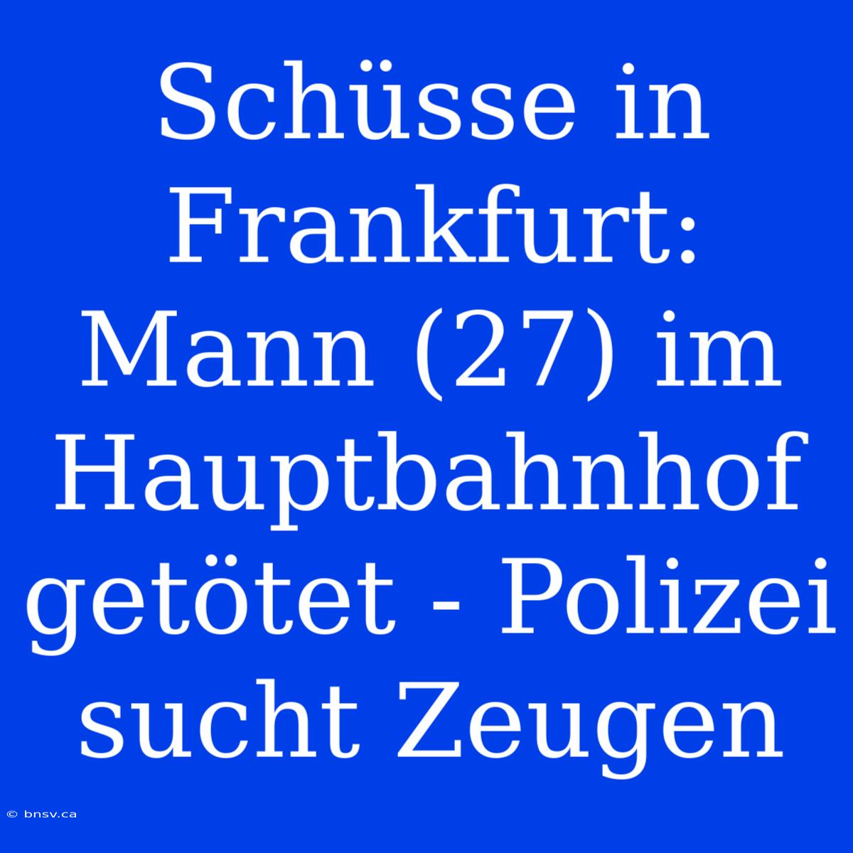 Schüsse In Frankfurt: Mann (27) Im Hauptbahnhof Getötet - Polizei Sucht Zeugen