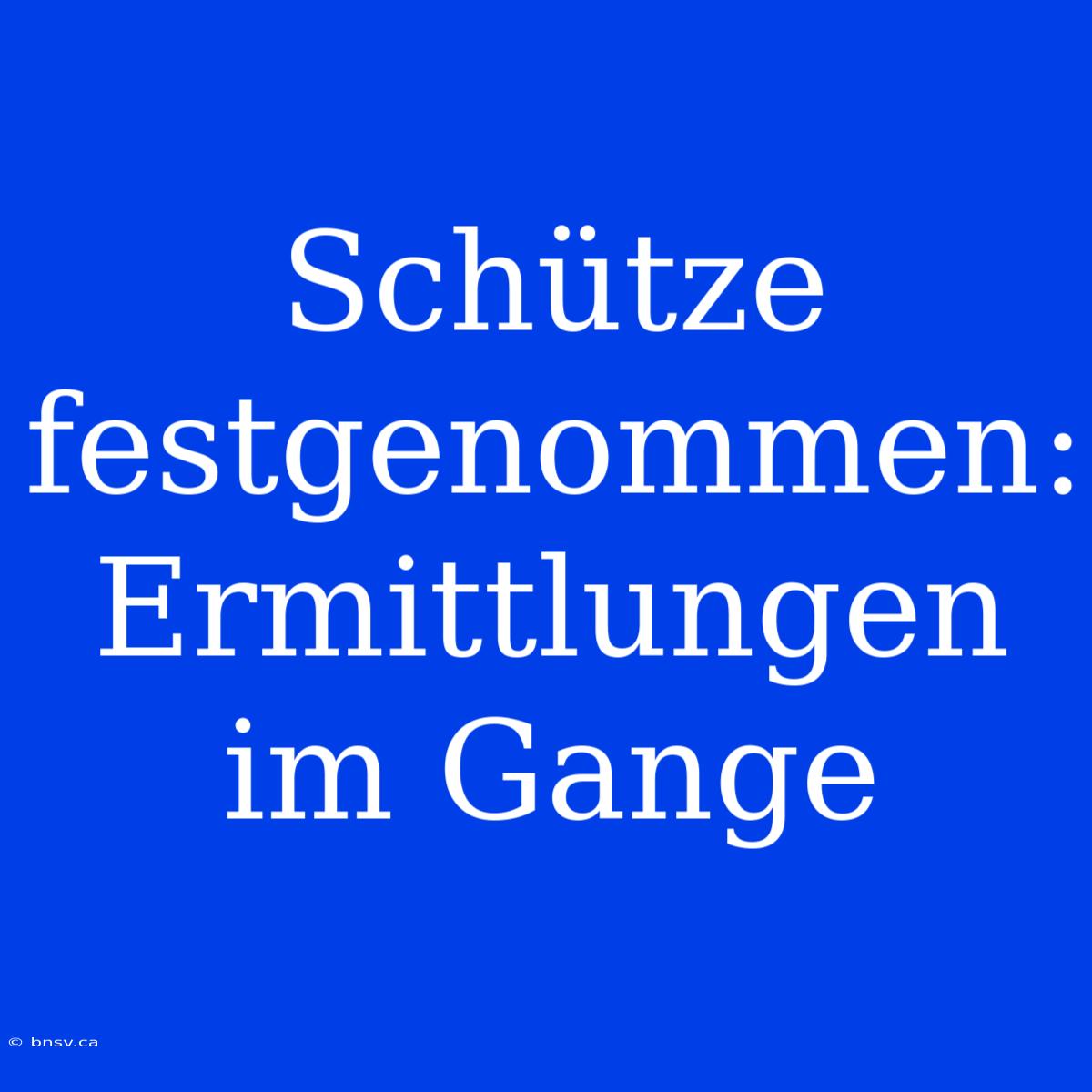 Schütze Festgenommen: Ermittlungen Im Gange