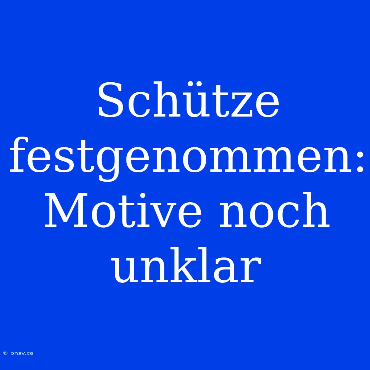 Schütze Festgenommen: Motive Noch Unklar