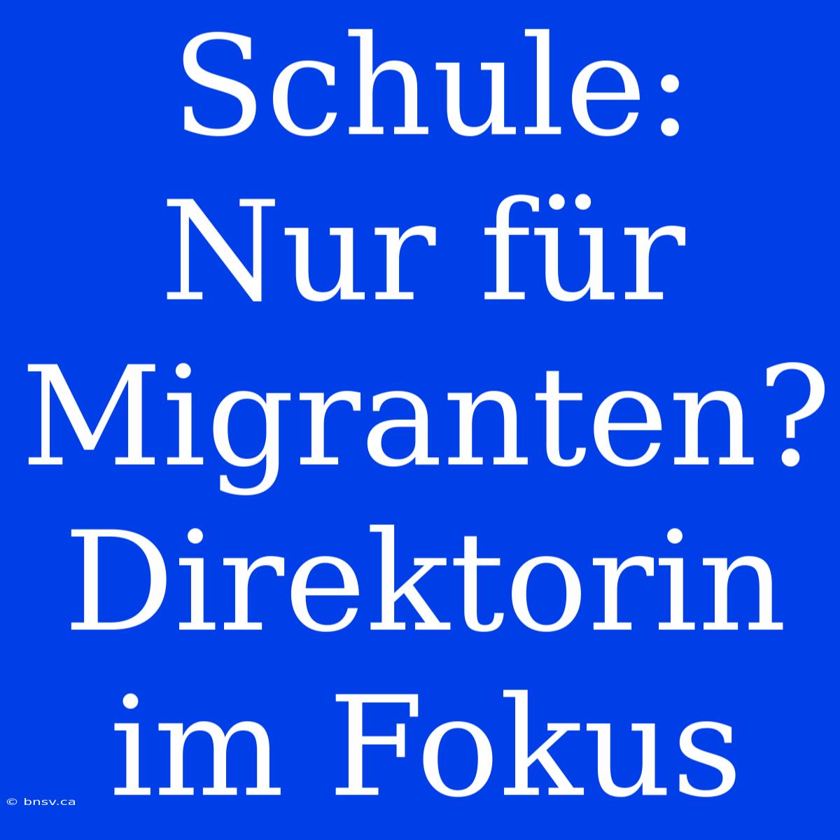 Schule: Nur Für Migranten?  Direktorin Im Fokus