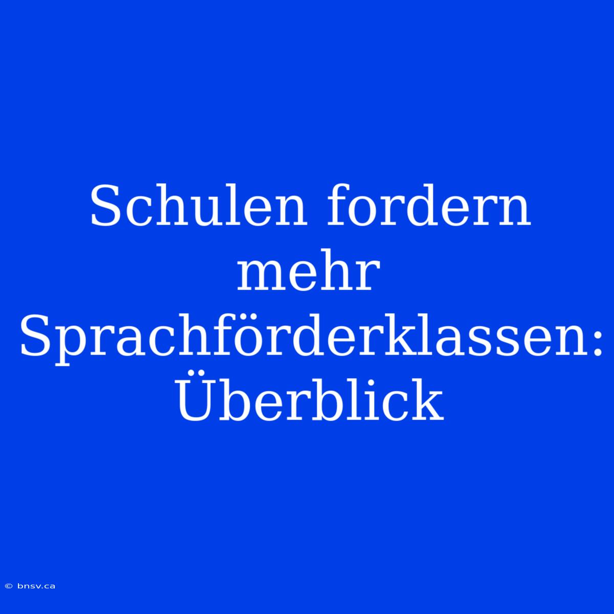 Schulen Fordern Mehr Sprachförderklassen: Überblick