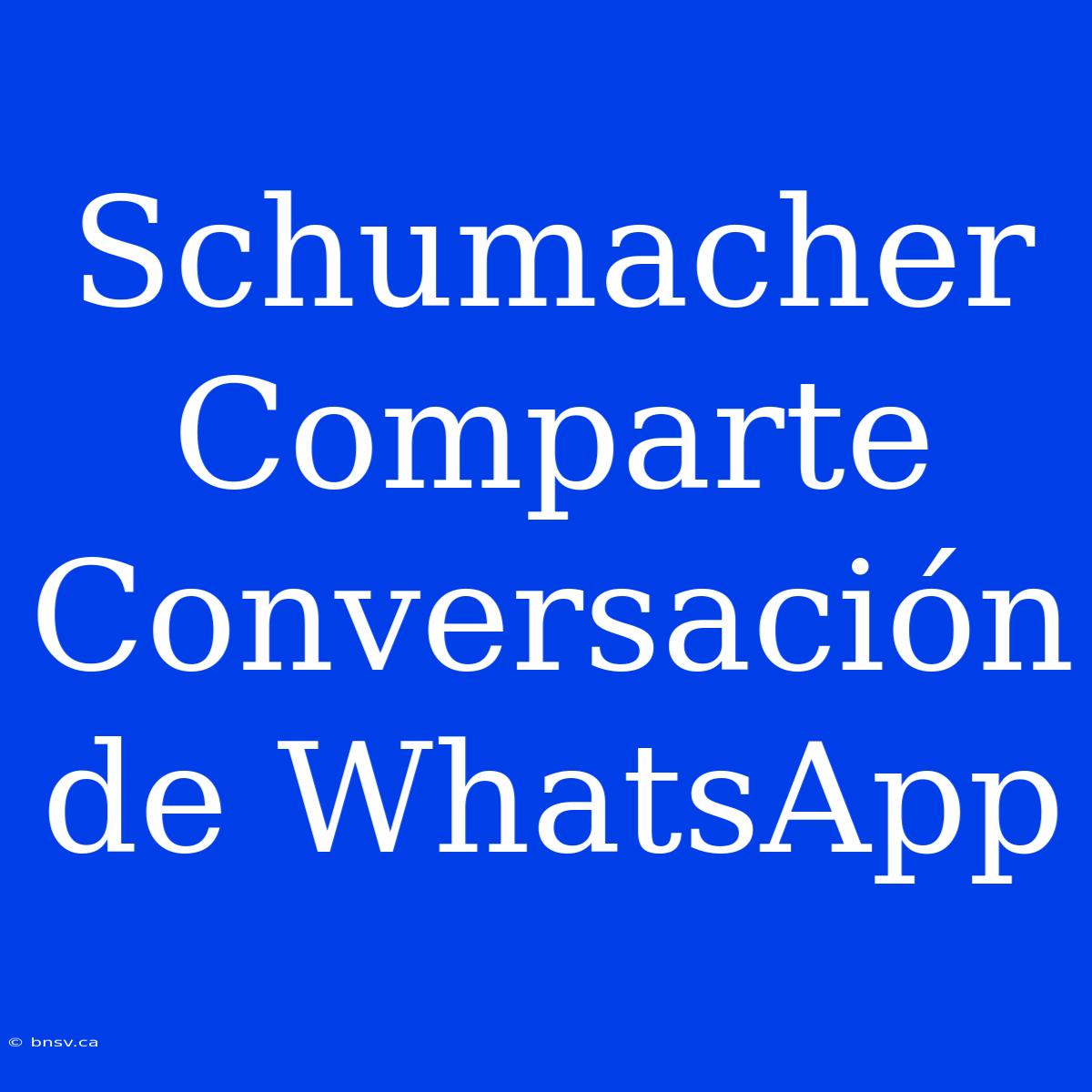 Schumacher Comparte Conversación De WhatsApp