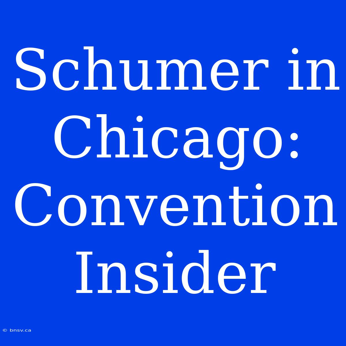 Schumer In Chicago: Convention Insider