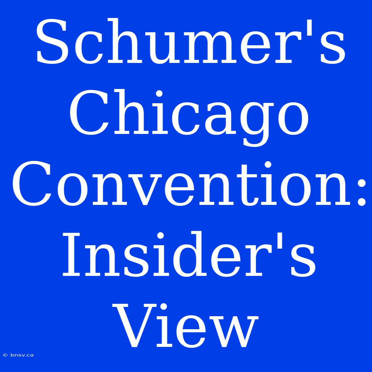 Schumer's Chicago Convention: Insider's View