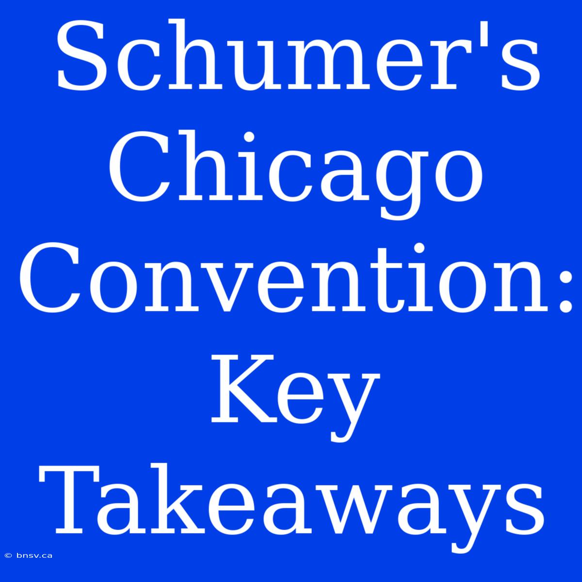 Schumer's Chicago Convention: Key Takeaways