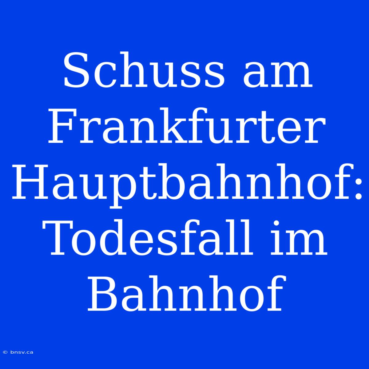 Schuss Am Frankfurter Hauptbahnhof: Todesfall Im Bahnhof