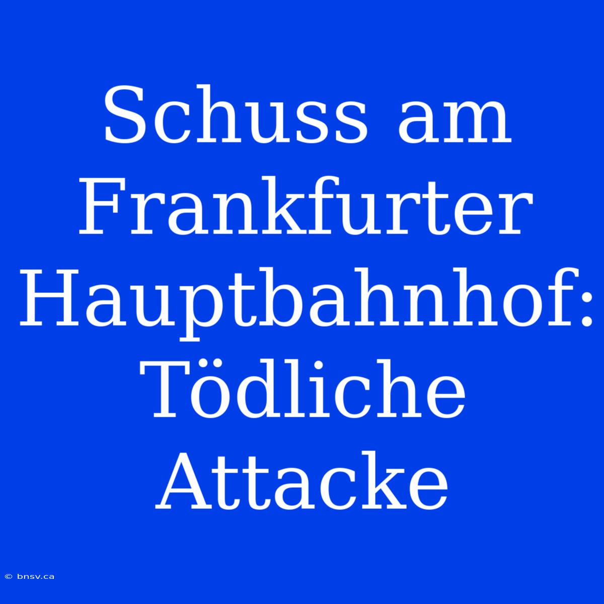 Schuss Am Frankfurter Hauptbahnhof: Tödliche Attacke