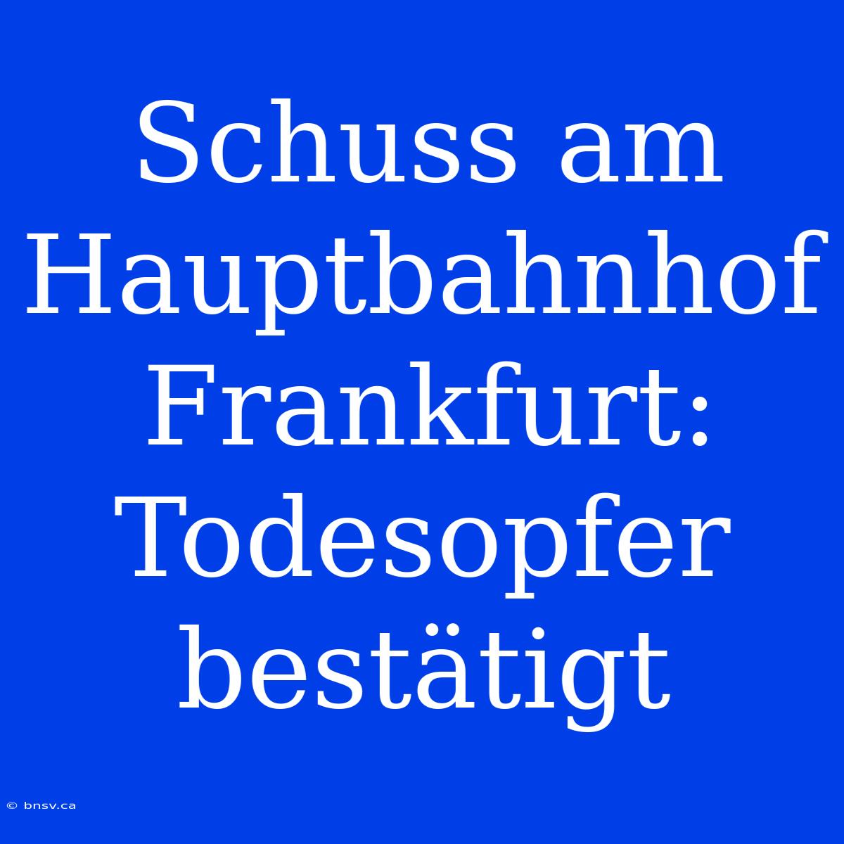 Schuss Am Hauptbahnhof Frankfurt: Todesopfer Bestätigt