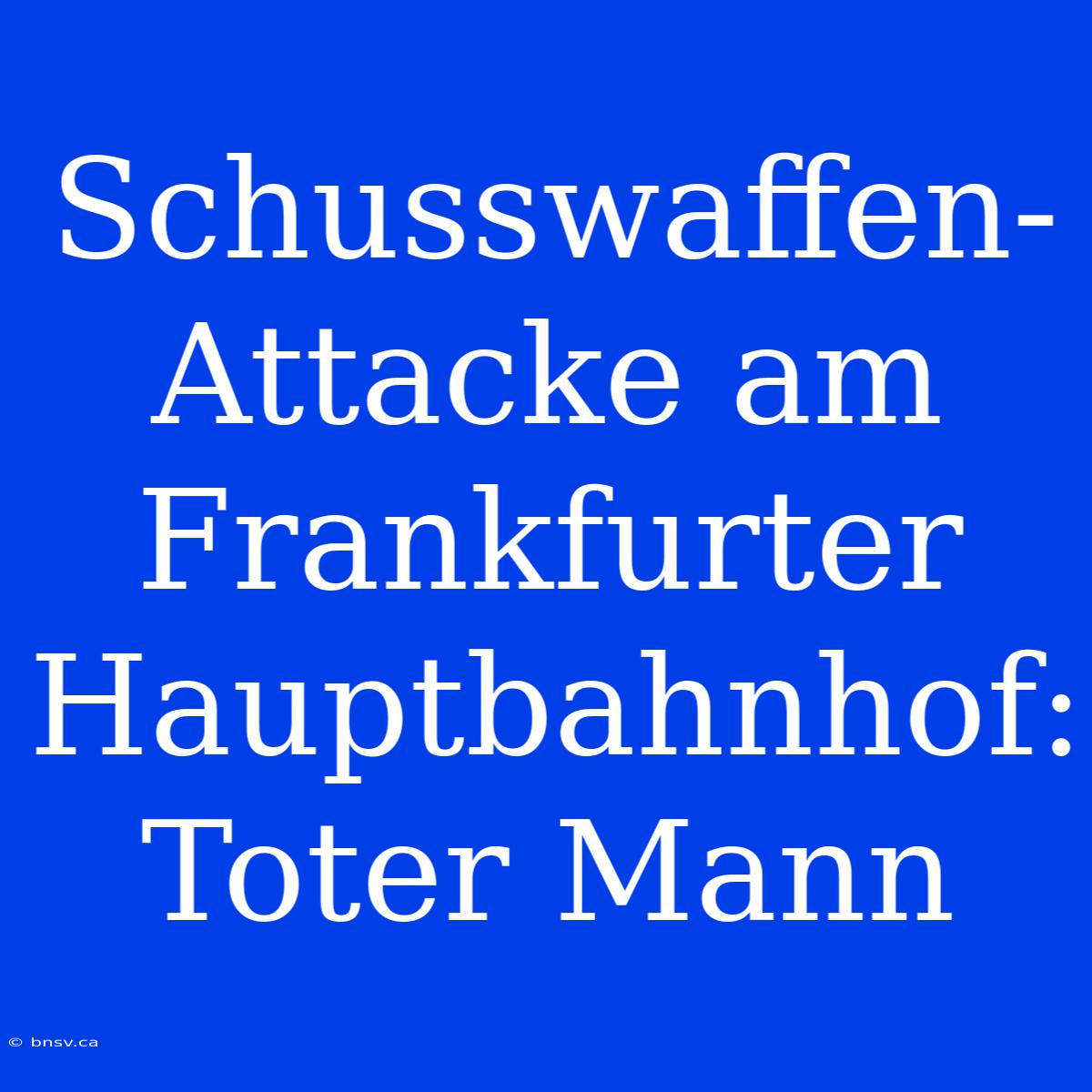 Schusswaffen-Attacke Am Frankfurter Hauptbahnhof: Toter Mann