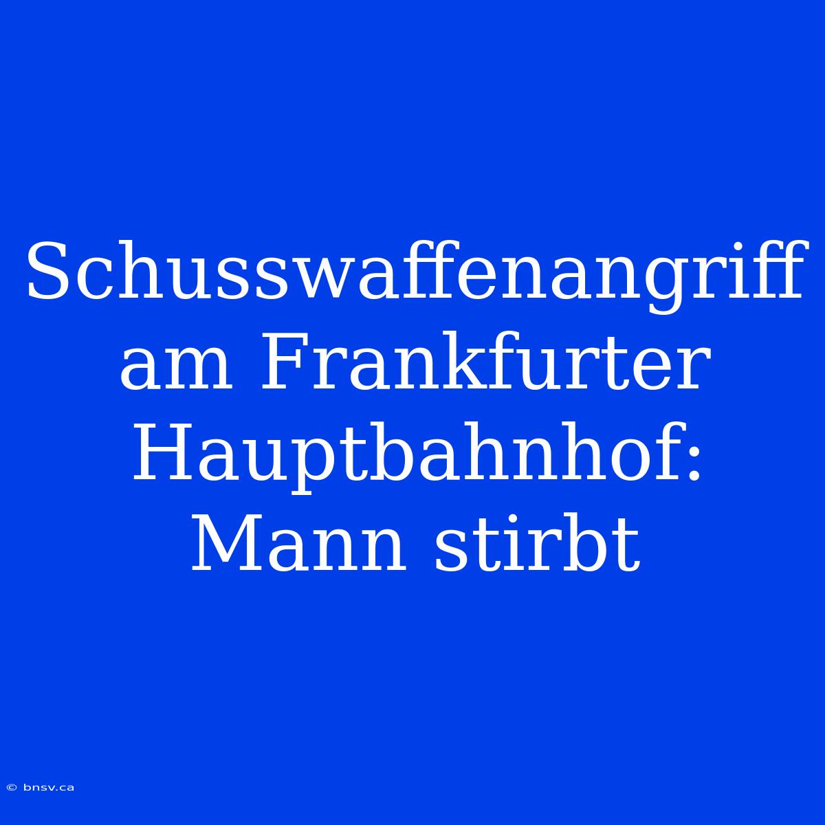 Schusswaffenangriff Am Frankfurter Hauptbahnhof: Mann Stirbt