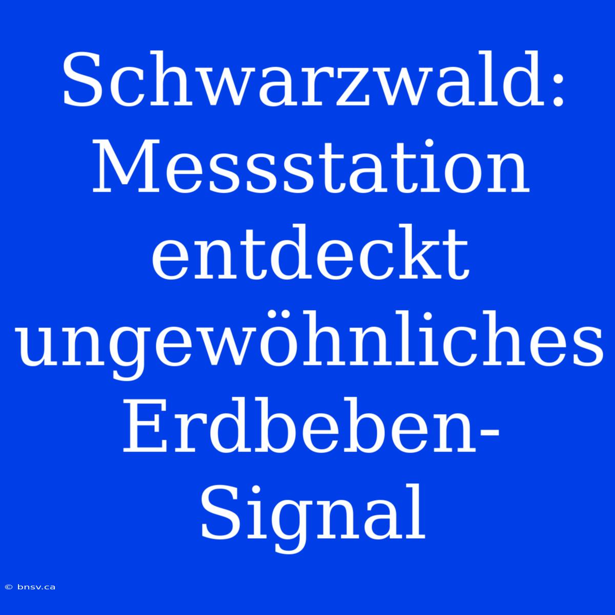 Schwarzwald: Messstation Entdeckt Ungewöhnliches Erdbeben-Signal