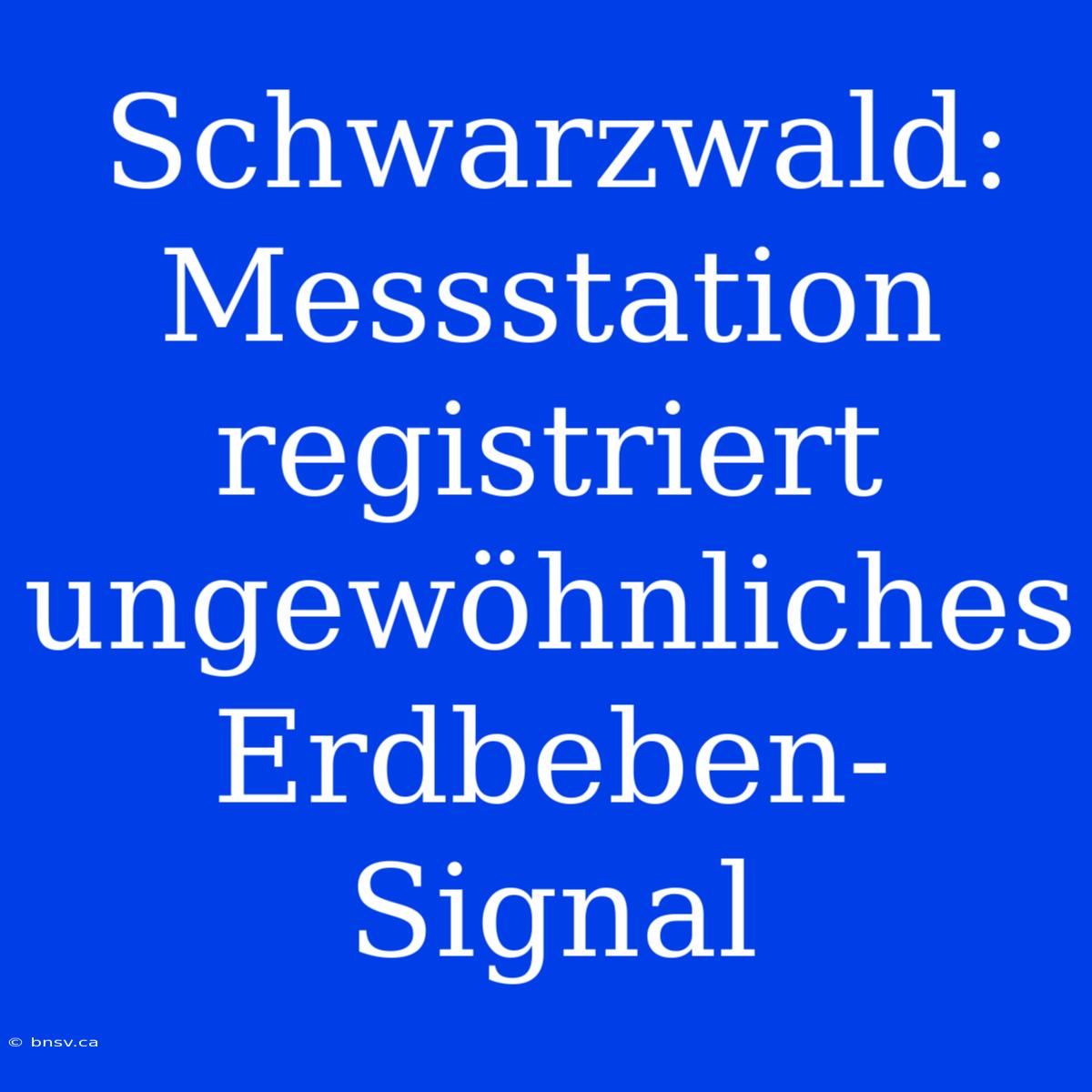 Schwarzwald: Messstation Registriert Ungewöhnliches Erdbeben-Signal