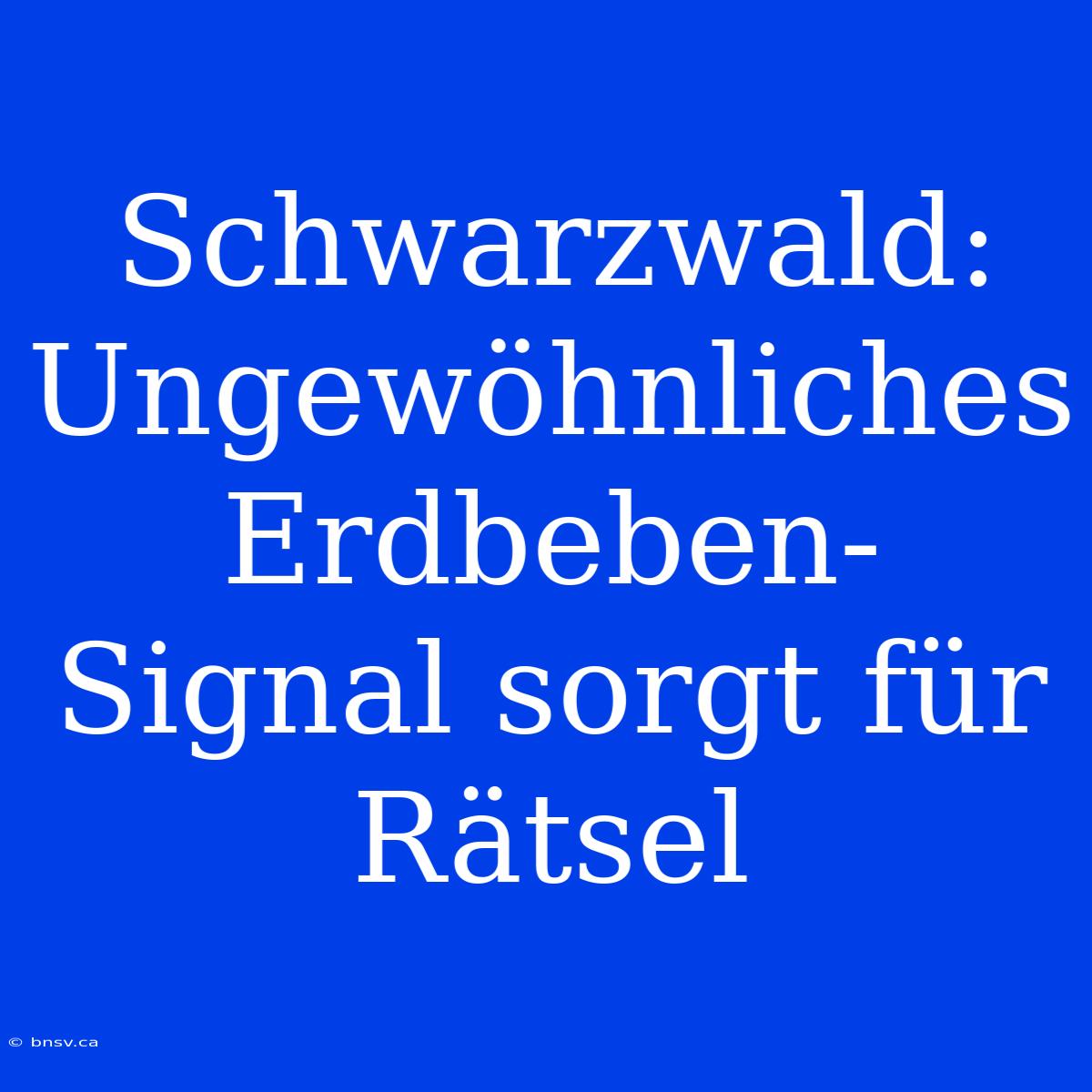 Schwarzwald: Ungewöhnliches Erdbeben-Signal Sorgt Für Rätsel