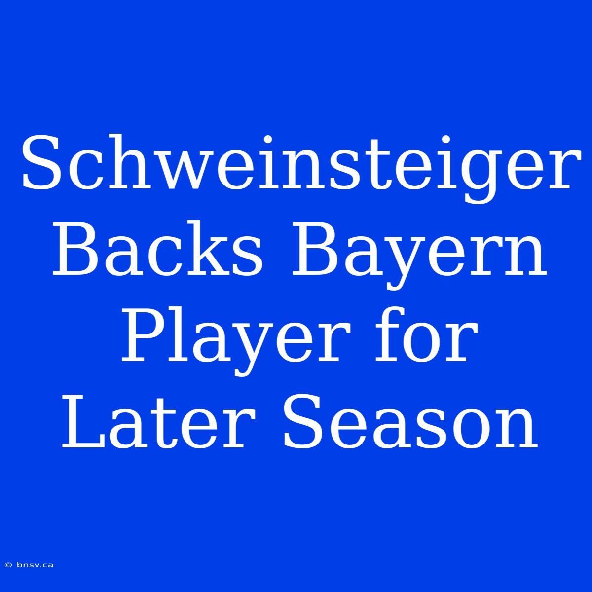 Schweinsteiger Backs Bayern Player For Later Season