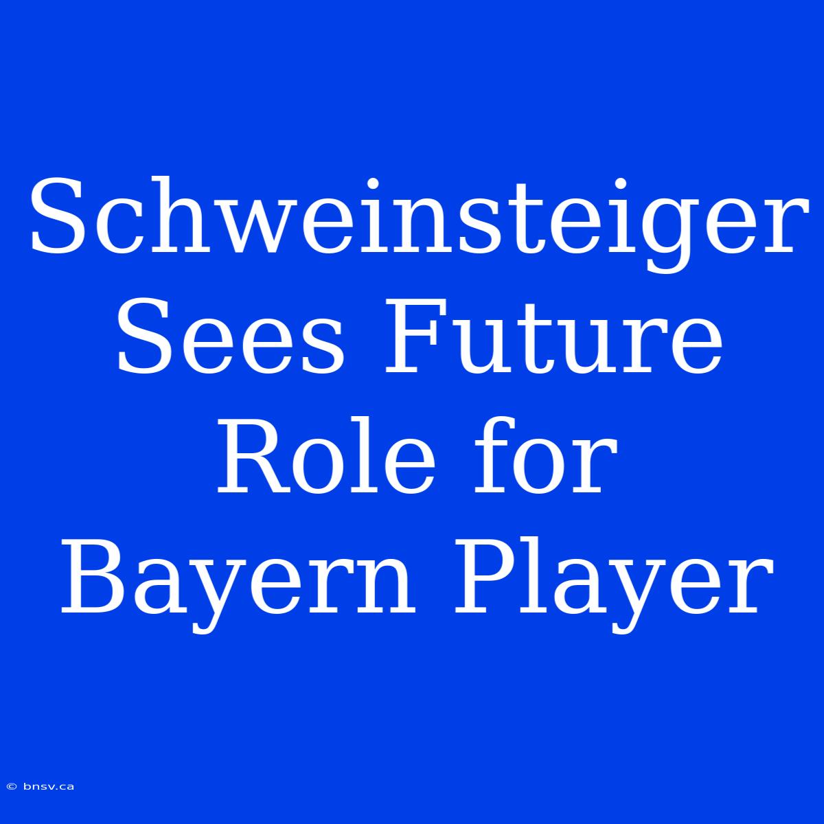 Schweinsteiger Sees Future Role For Bayern Player